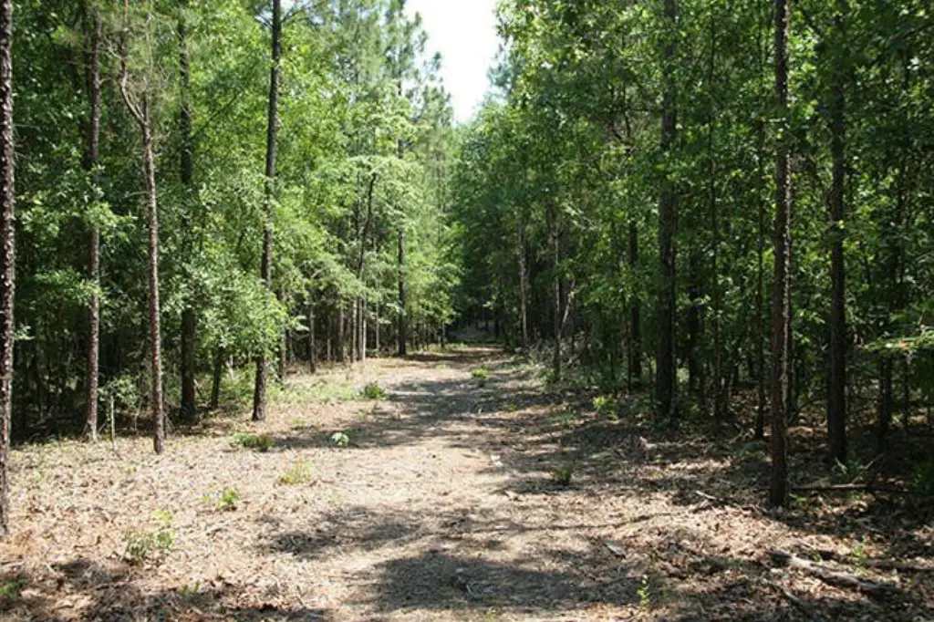 Picture 40