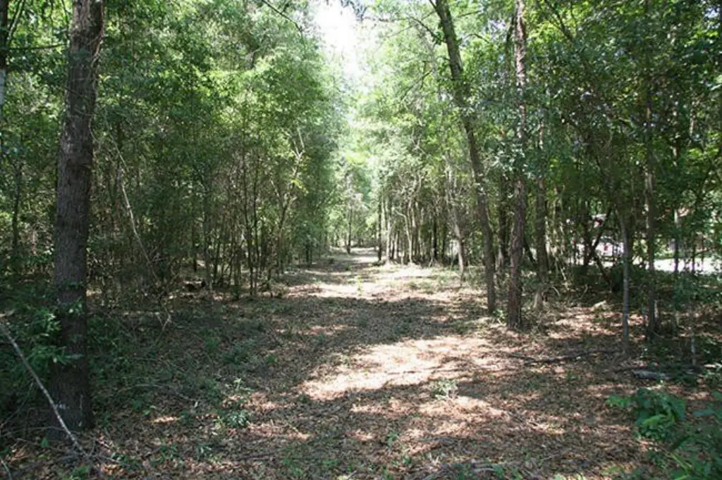 Picture 5