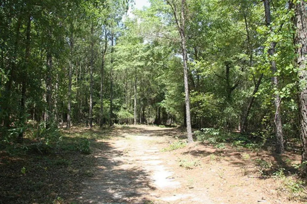 Picture 30