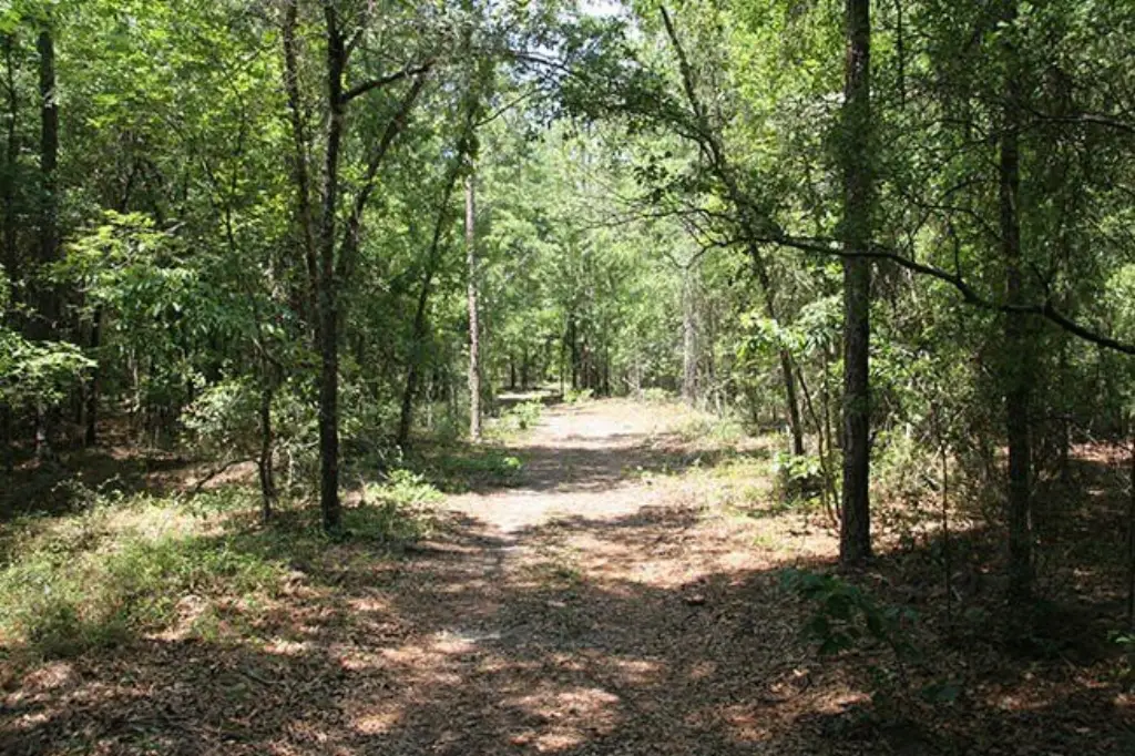 Picture 10