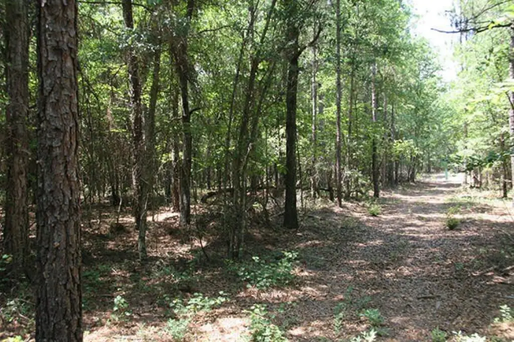 Picture 22