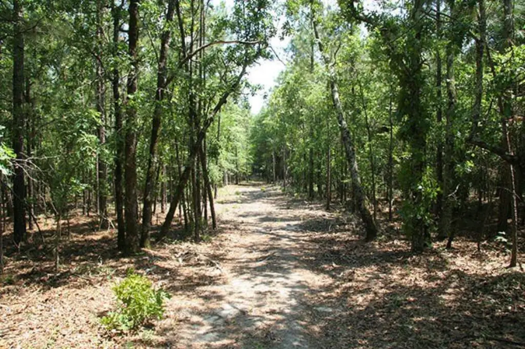 Picture 38