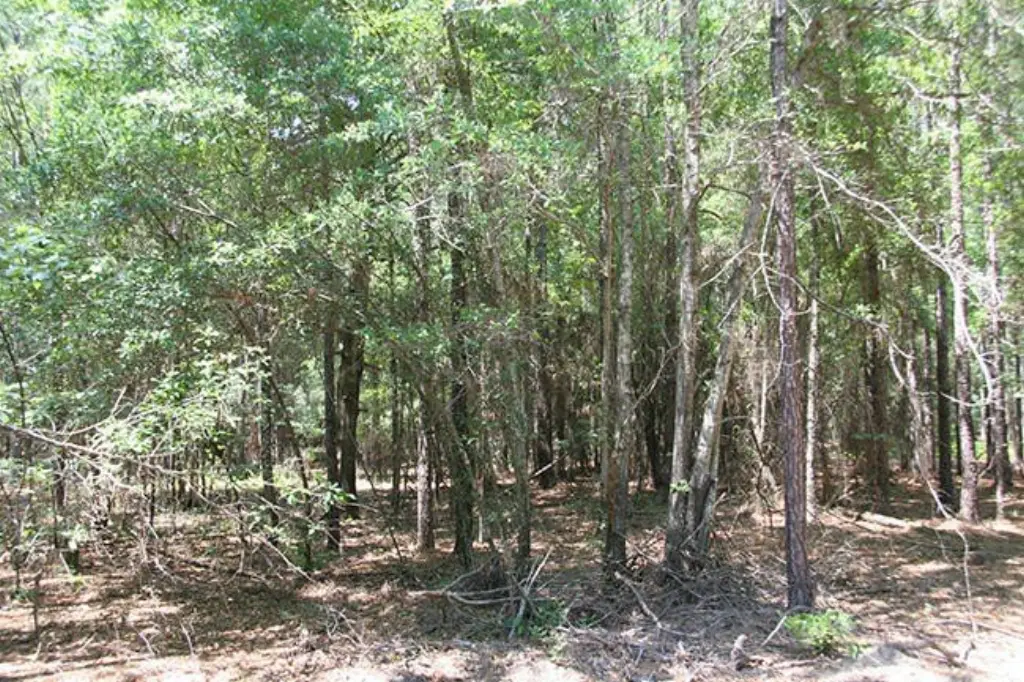 Picture 16