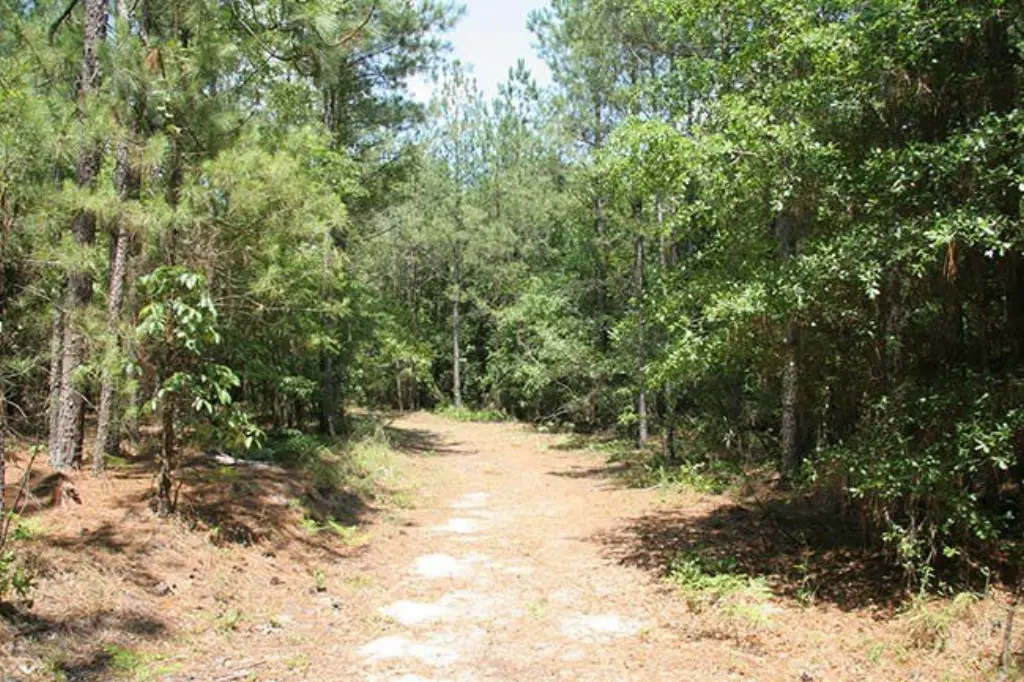 Picture 32