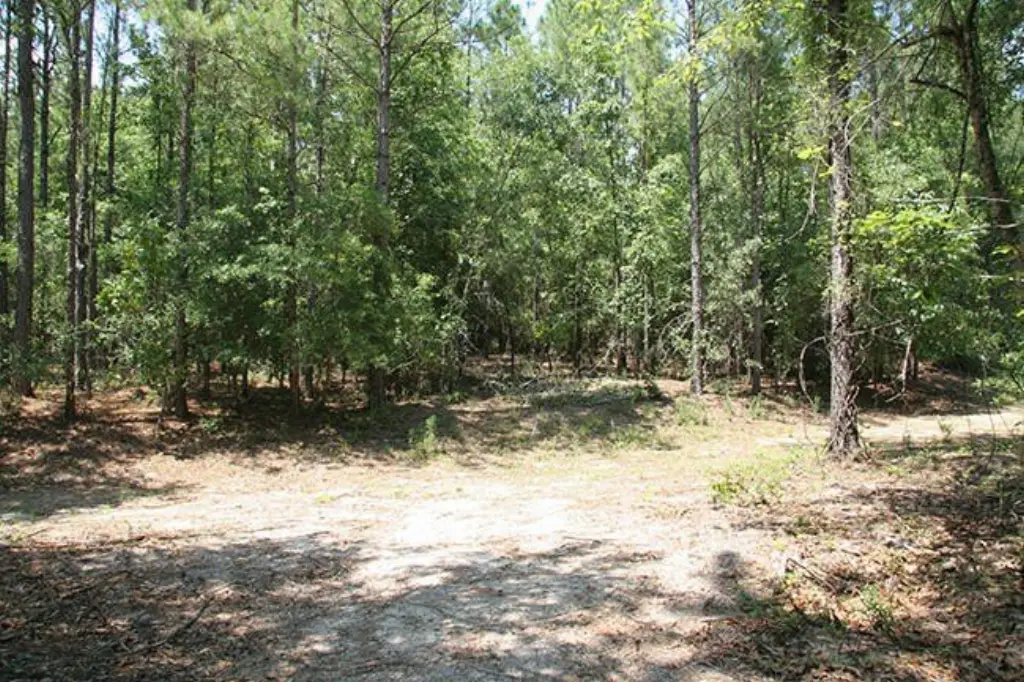 Picture 25