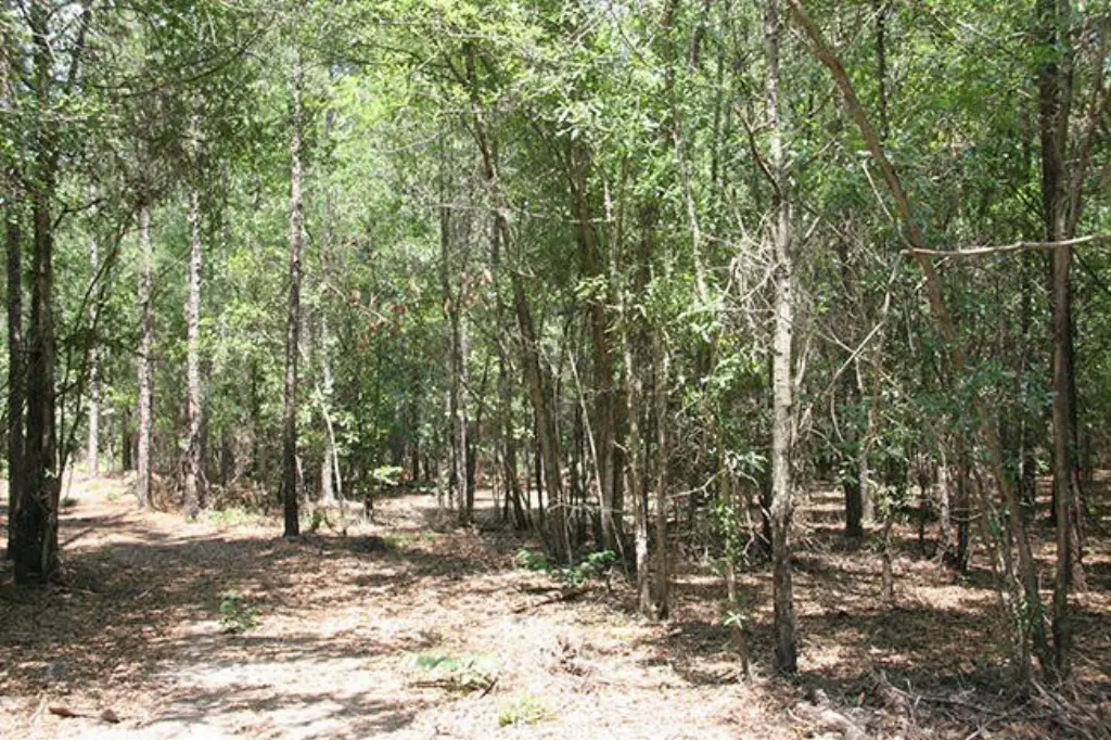Picture 17