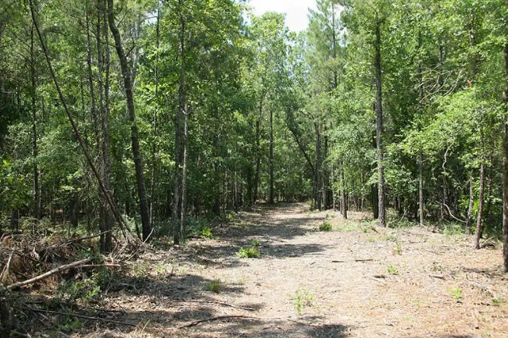 Picture 24