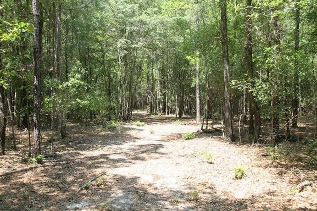Picture 15