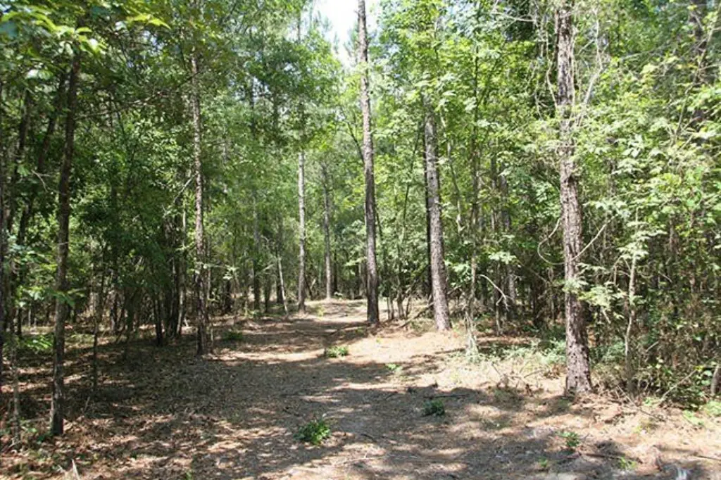 Picture 19