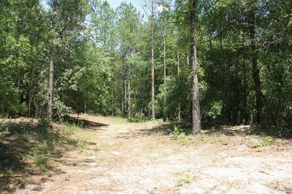 Picture 28