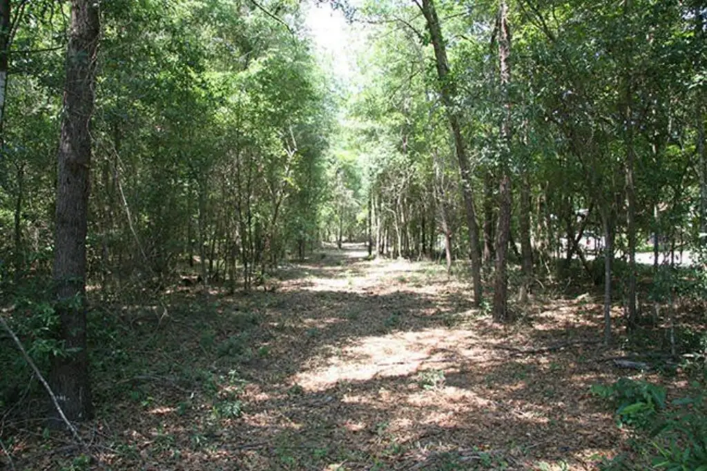 Picture 4