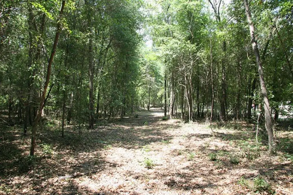 Picture 7