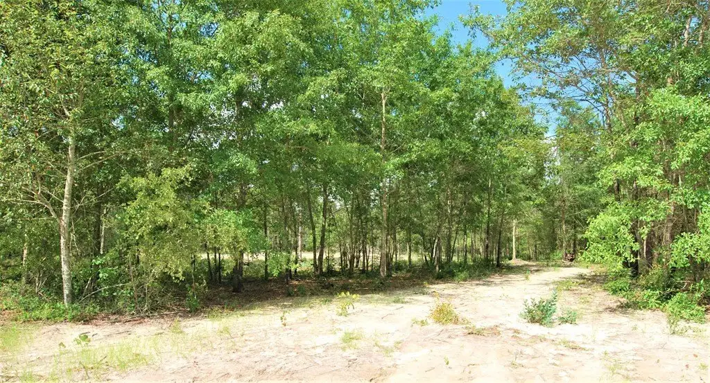 Picture 9