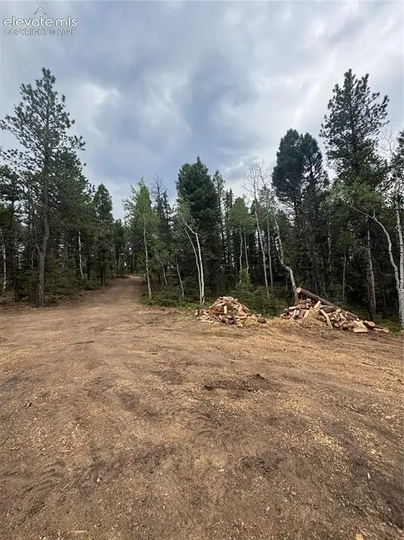 Picture 7