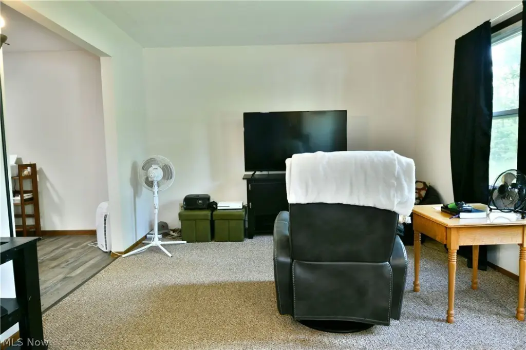 Picture 16