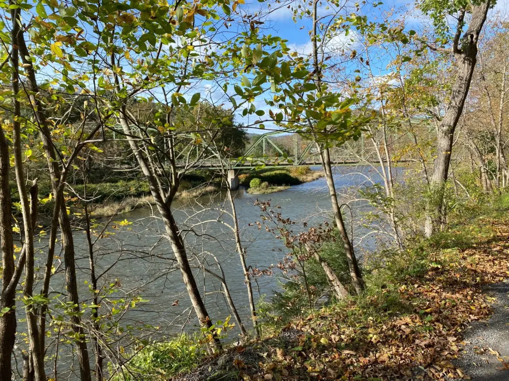 Picture 19