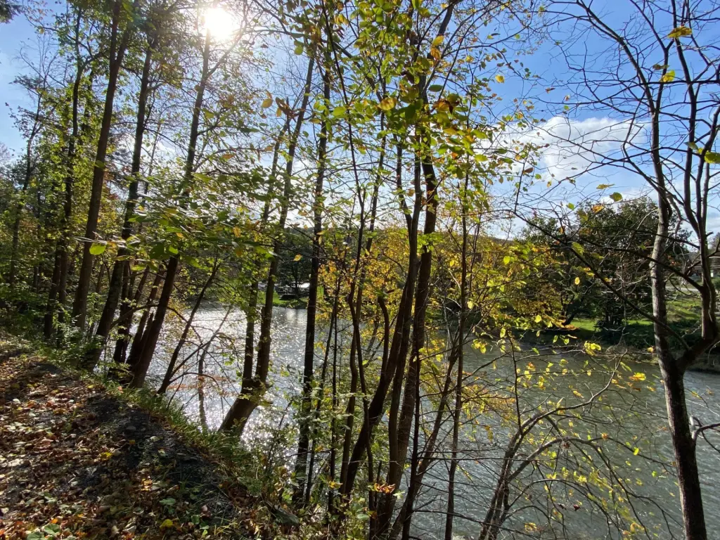 Picture 17