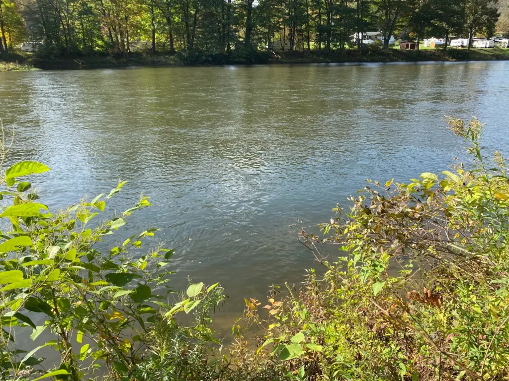 Picture 18