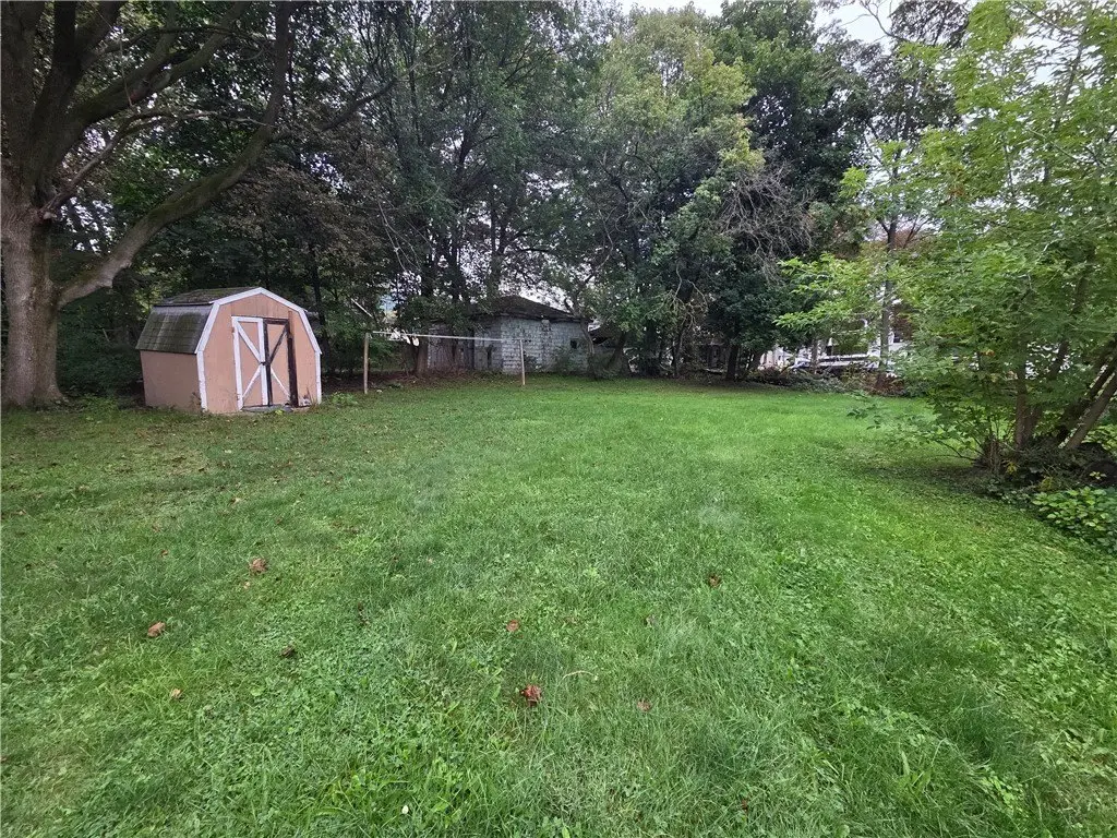 Picture 5