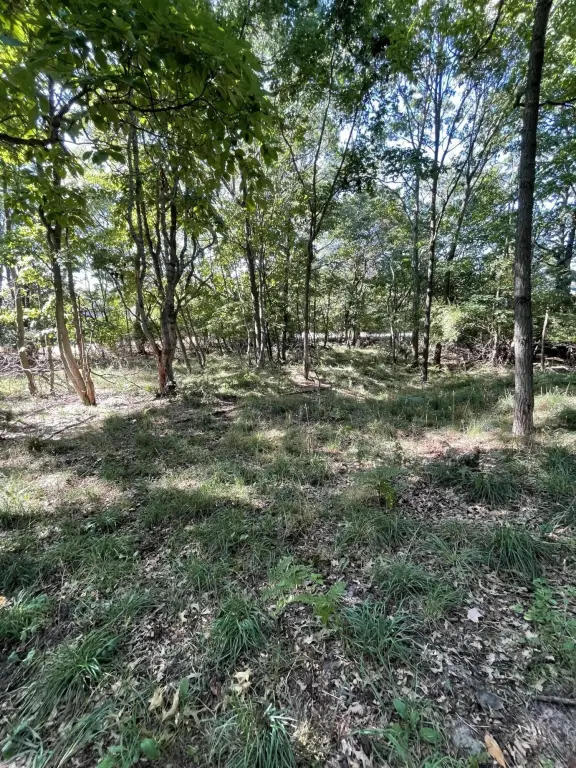 Picture 17