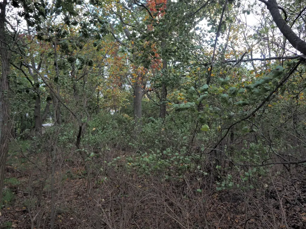 Picture 13