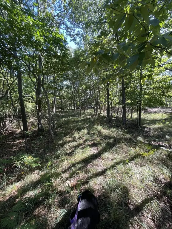 Picture 19