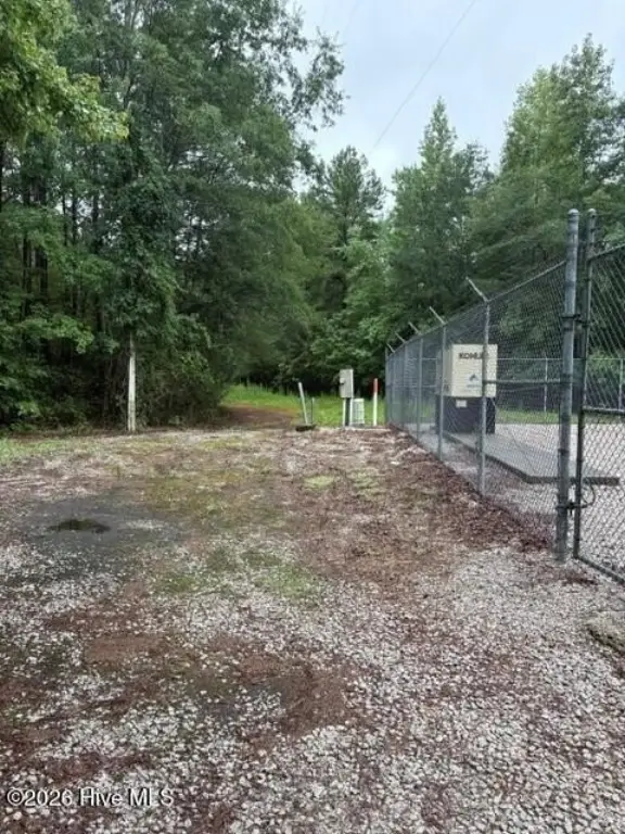 Picture 8
