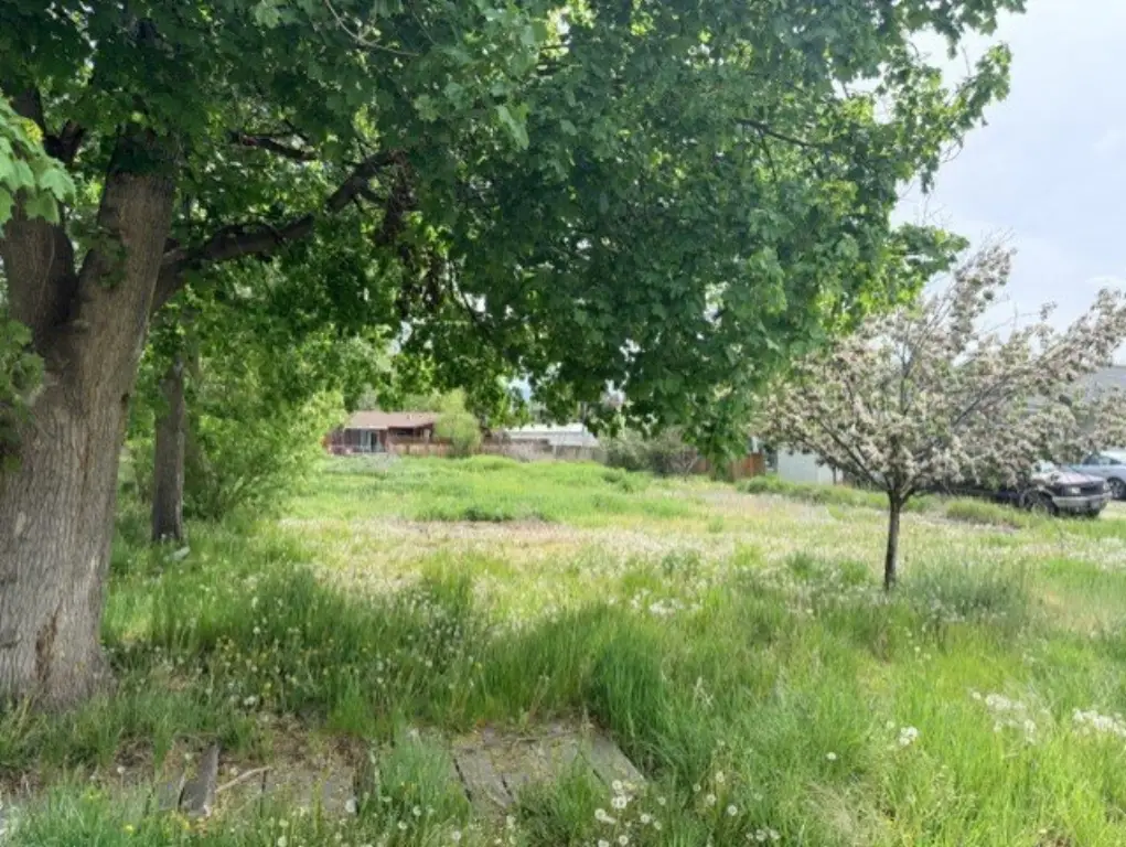Picture 3