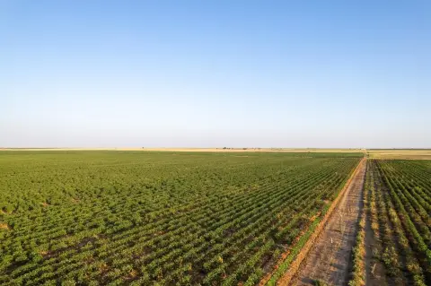 Abernathy, Texas 10-Acre Land Tract