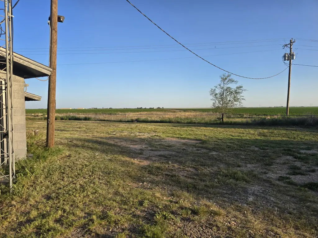 Picture 18