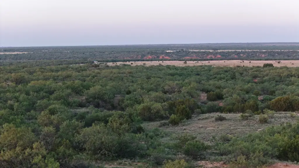 Picture 40