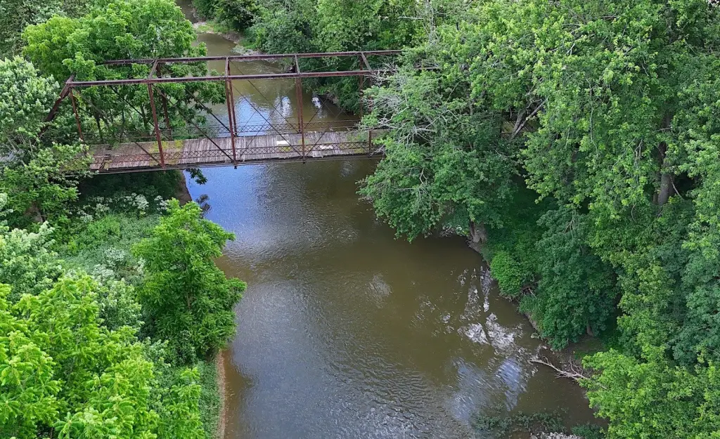 Picture 8