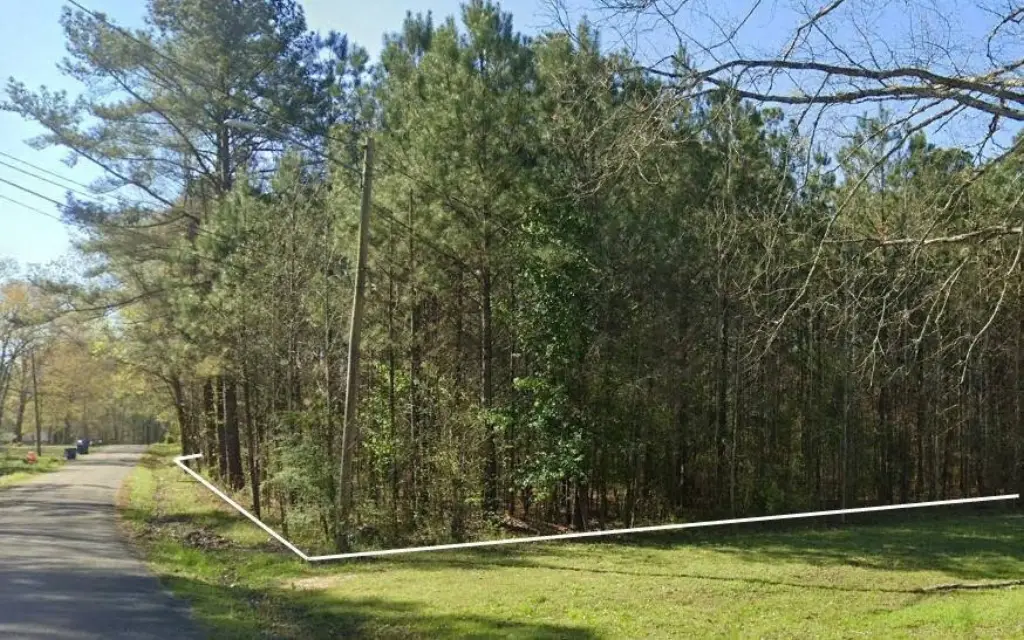 Picture 15