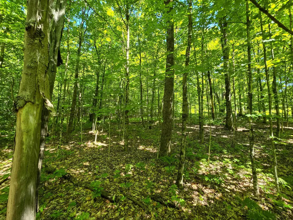 Picture 10
