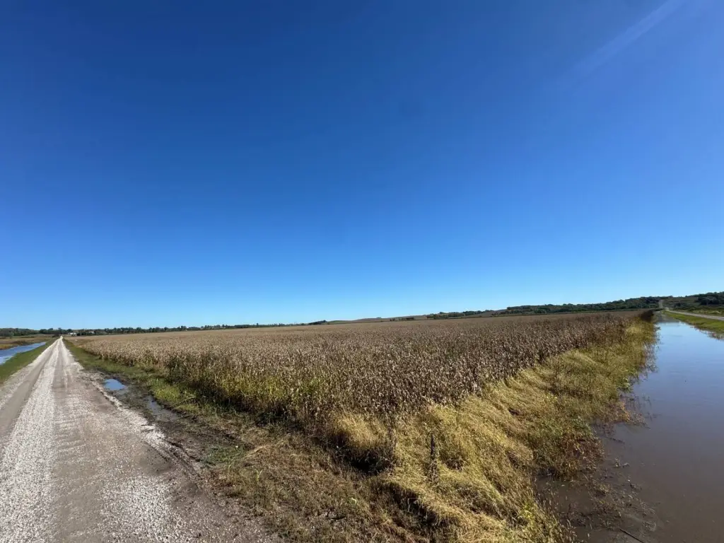 Picture 25