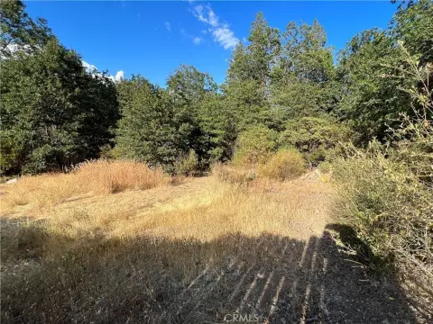 Two Acre Parcel in Kelseyville