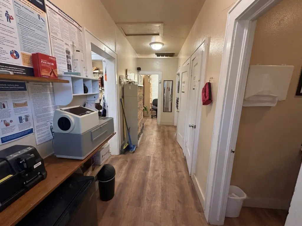 Picture 19