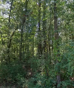 Residential Land in Pine Bluff