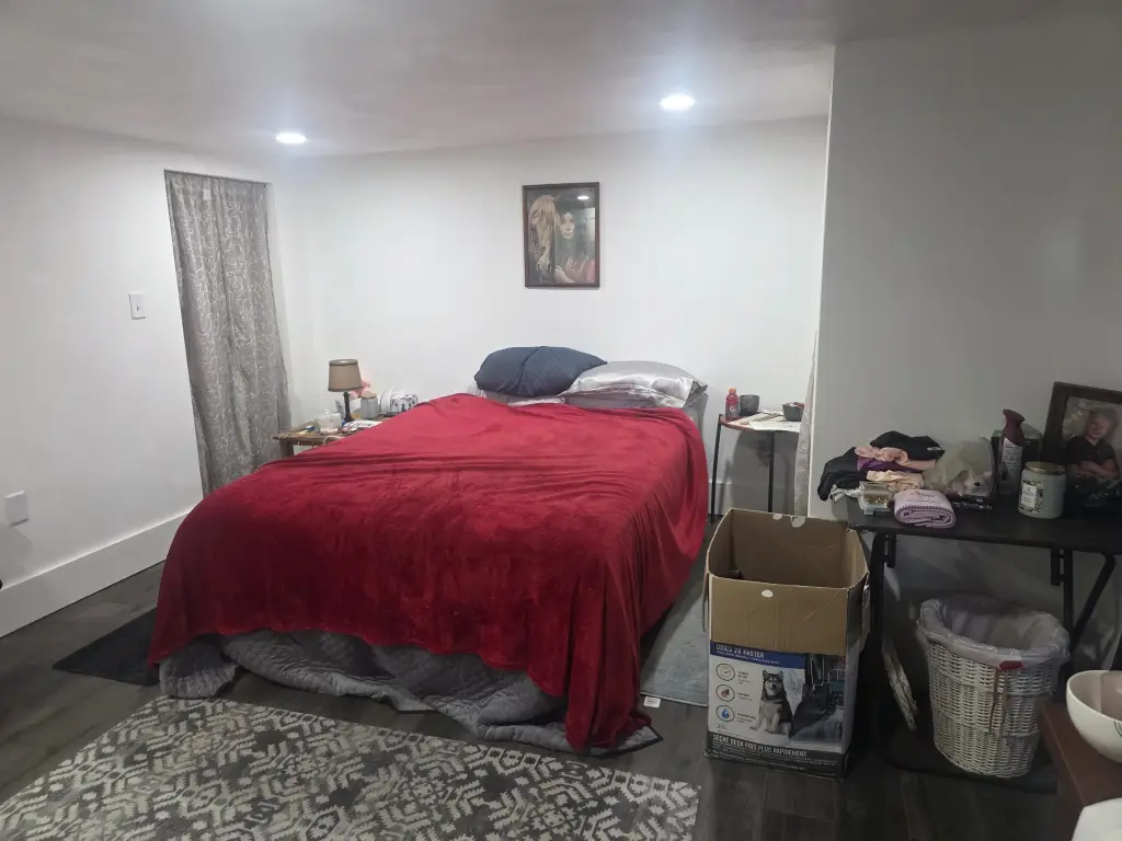 Picture 14