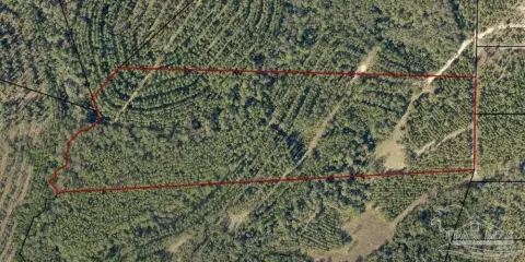 Pace, FL Land/Acreage
