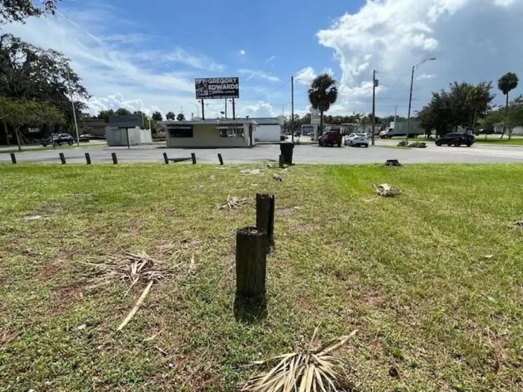 Picture 9