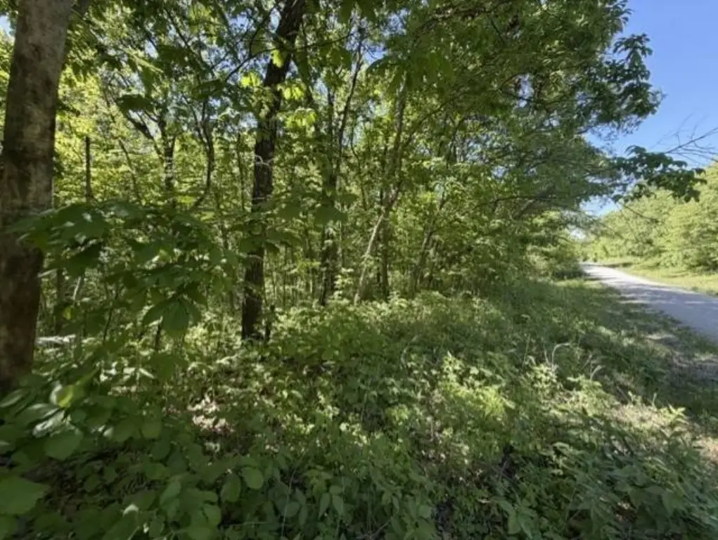 Picture 5