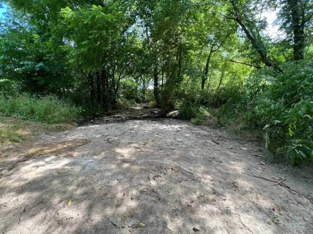 Picture 6