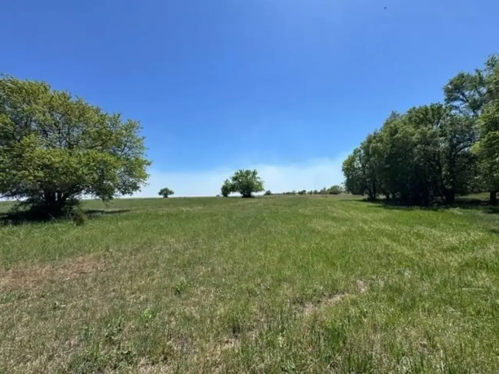 Picture 69