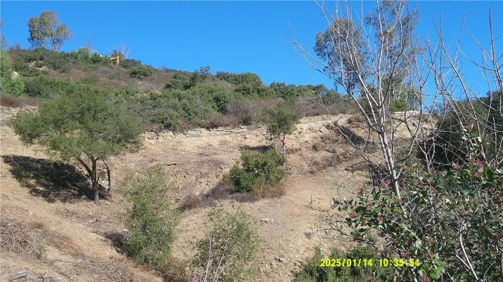 Picture 4