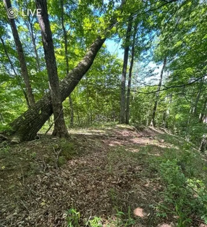 Picture 3