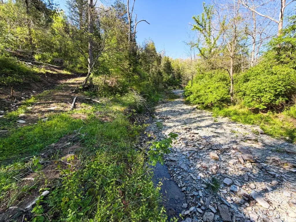 Picture 25