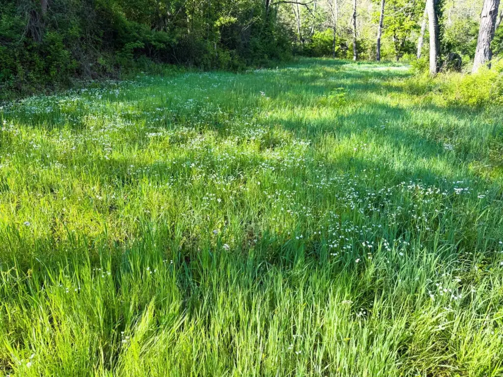 Picture 38