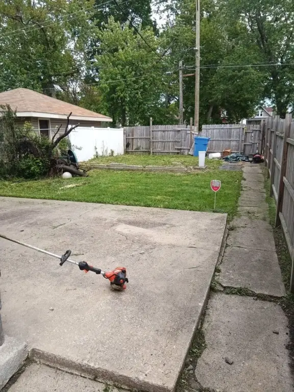 Picture 2