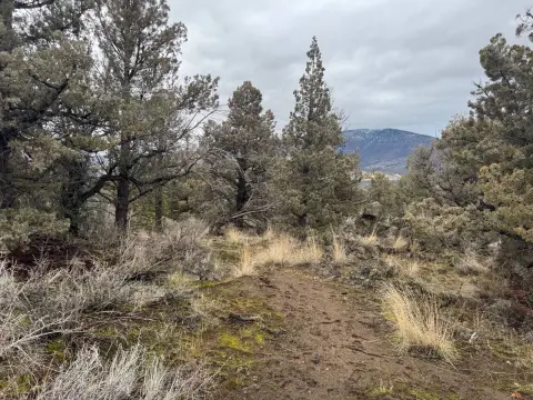 Vacant Land in Montague, CA